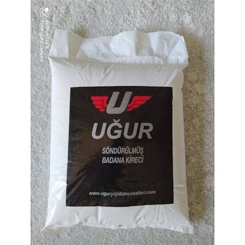 3 KG BADANA KİRECİ 